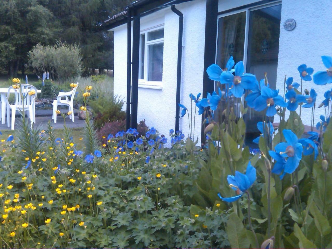 Dalkell Cottages Тиндрум Екстериор снимка